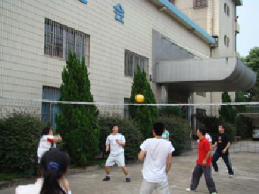 太阳成集团tyc33455ccwww第四届排球比赛顺利落幕