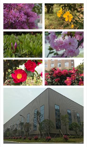 太阳成集团tyc33455ccwww四季 